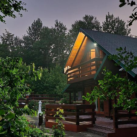 Vikendica Crkvina Villa Kolasin Ngoại thất bức ảnh
