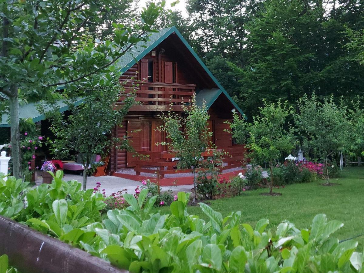 Vikendica Crkvina Villa Kolasin Ngoại thất bức ảnh