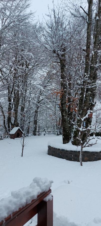 Vikendica Crkvina Villa Kolasin Ngoại thất bức ảnh