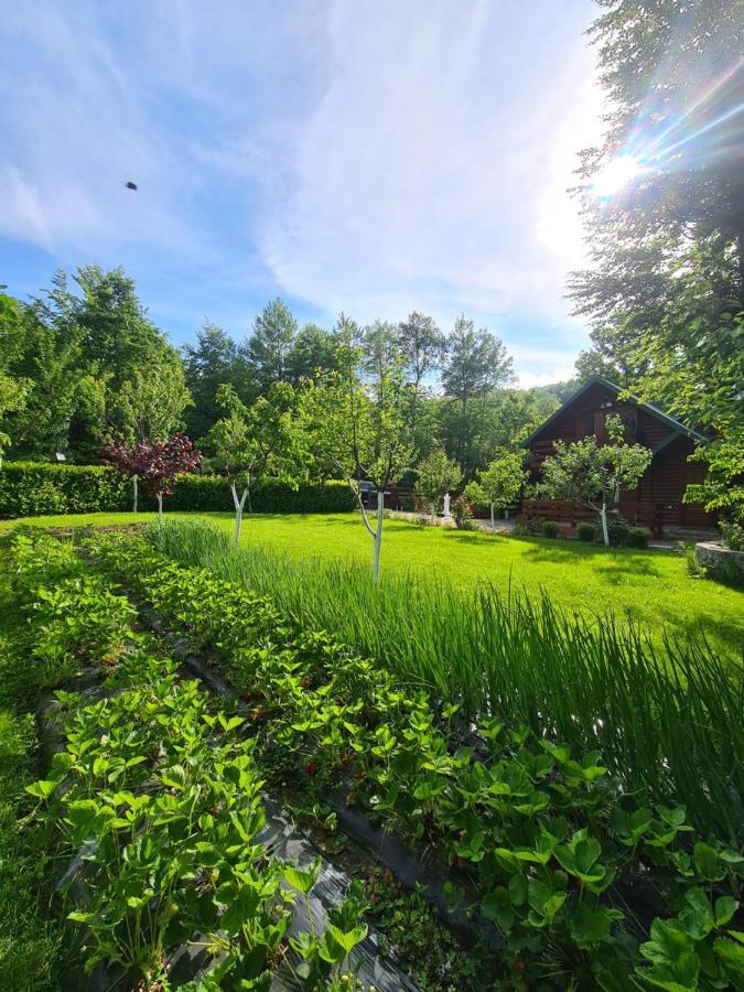 Vikendica Crkvina Villa Kolasin Ngoại thất bức ảnh