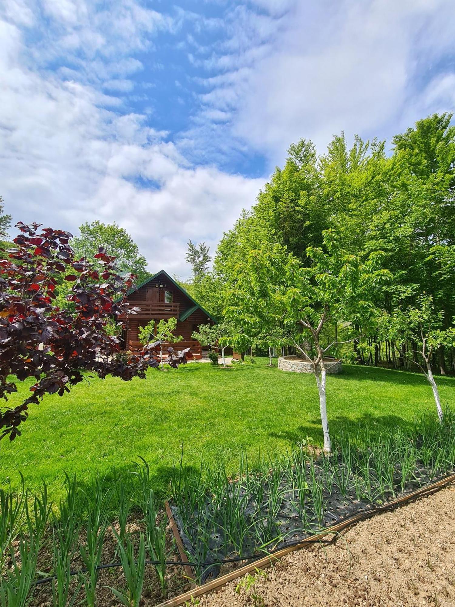 Vikendica Crkvina Villa Kolasin Ngoại thất bức ảnh