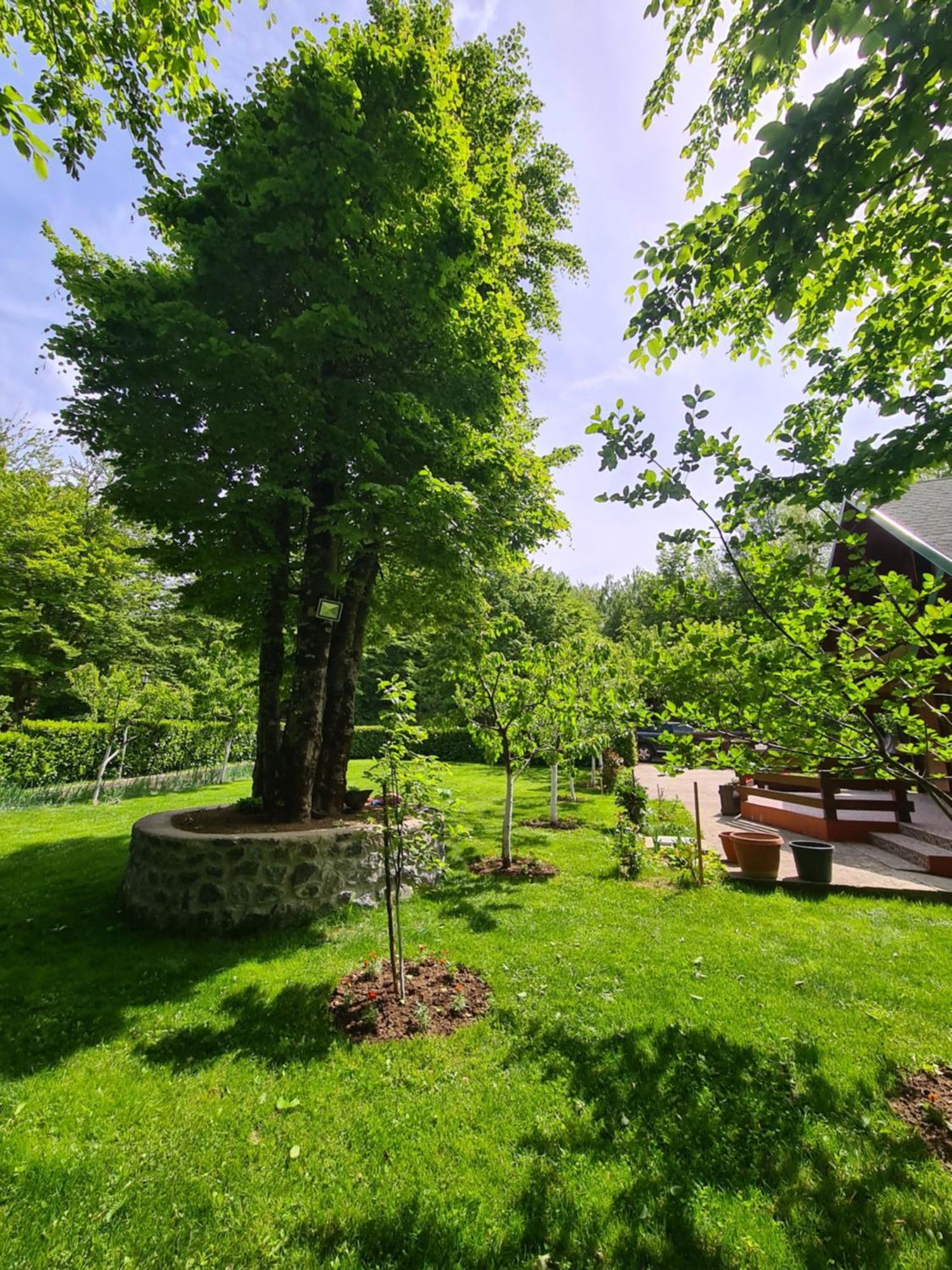 Vikendica Crkvina Villa Kolasin Ngoại thất bức ảnh