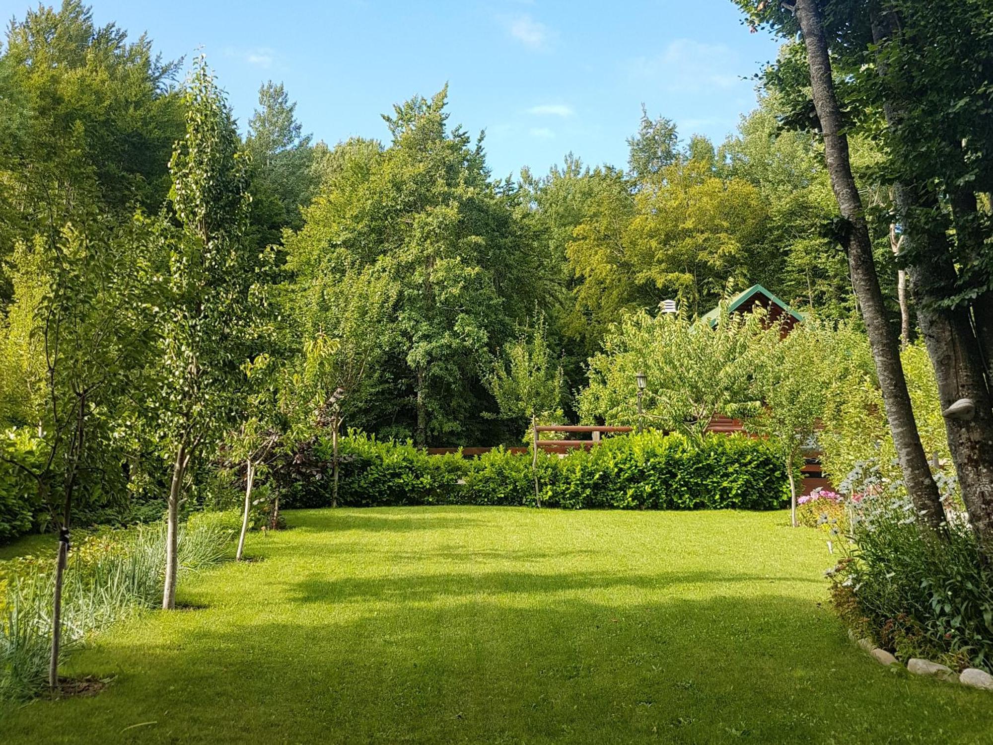 Vikendica Crkvina Villa Kolasin Ngoại thất bức ảnh